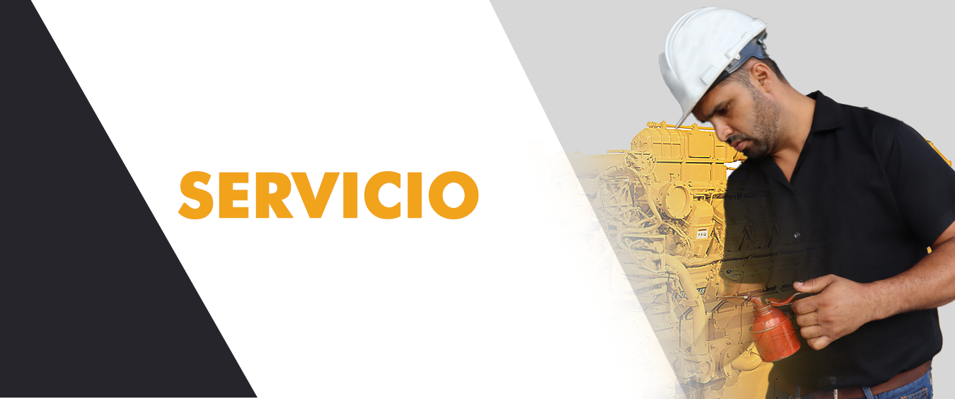 Servicios